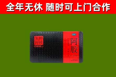 淄川回收阿胶